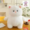 Super Cute Fat Cat Teddy Bear